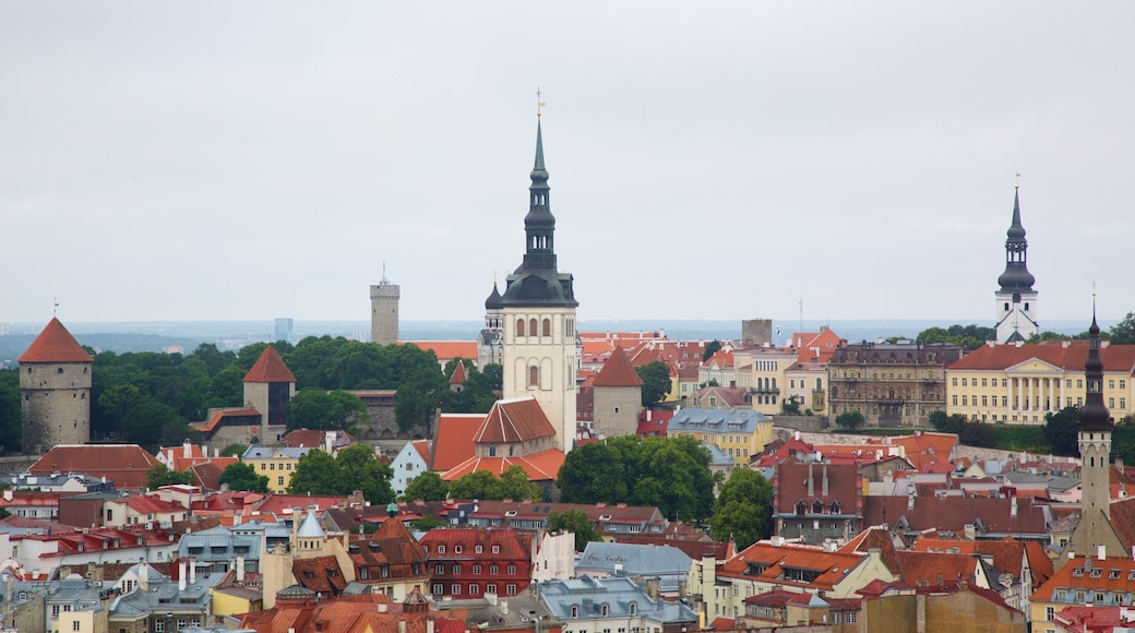 Tallinn which includes a city