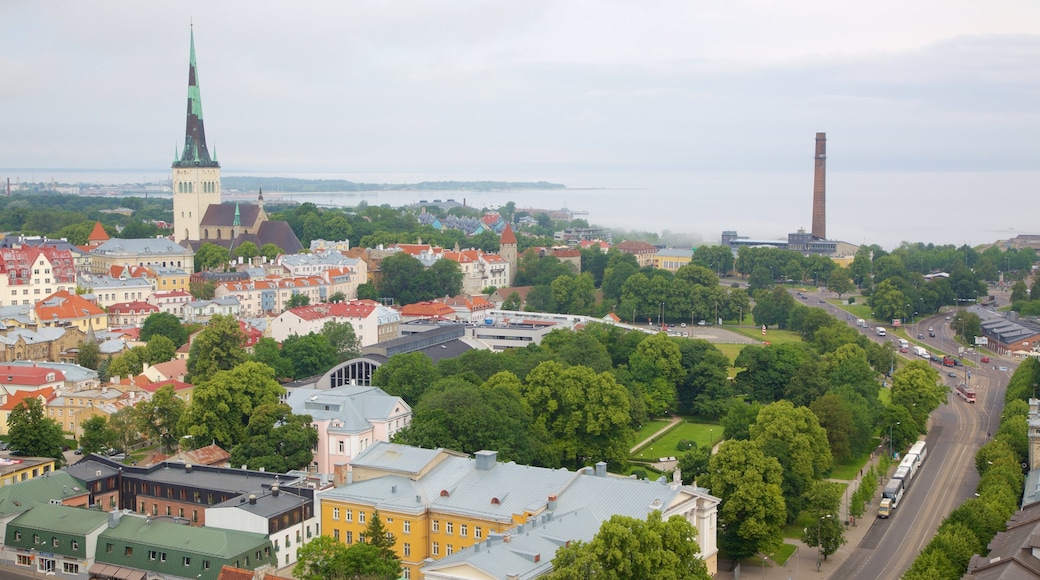 Tallinn which includes a city