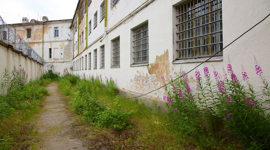 Tallinn featuring flowers