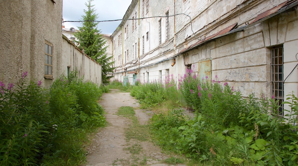 Tallinn showing a garden