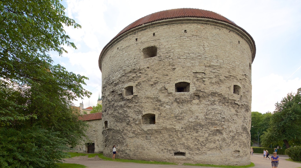 Tallín mostrando patrimonio de arquitectura