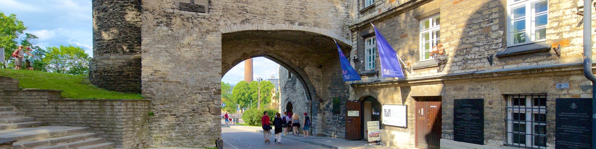 Tallinn qui includes patrimoine architectural