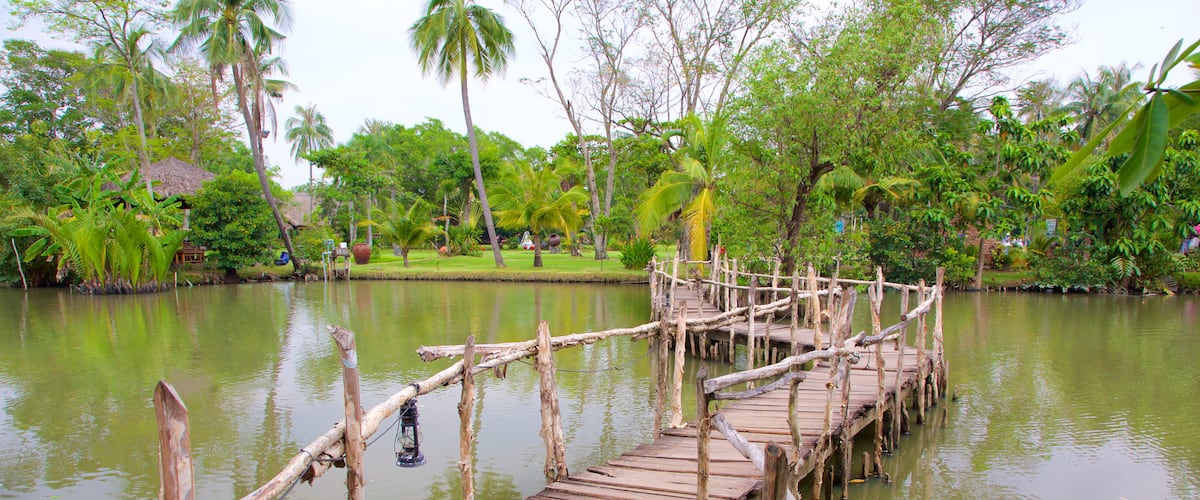 Ho Chi Minh City showing a garden and a river or creek
