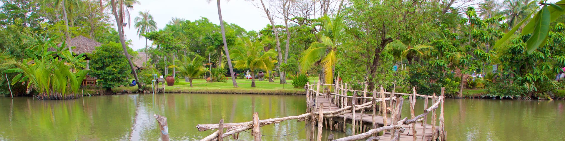 Ho Chi Minh City showing a garden and a river or creek