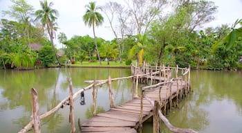 Ho Chi Minh-byen som inkluderer elv eller bekk og hage