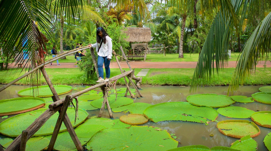 Ho Chi Minh City showing a park and a pond as well as an individual female