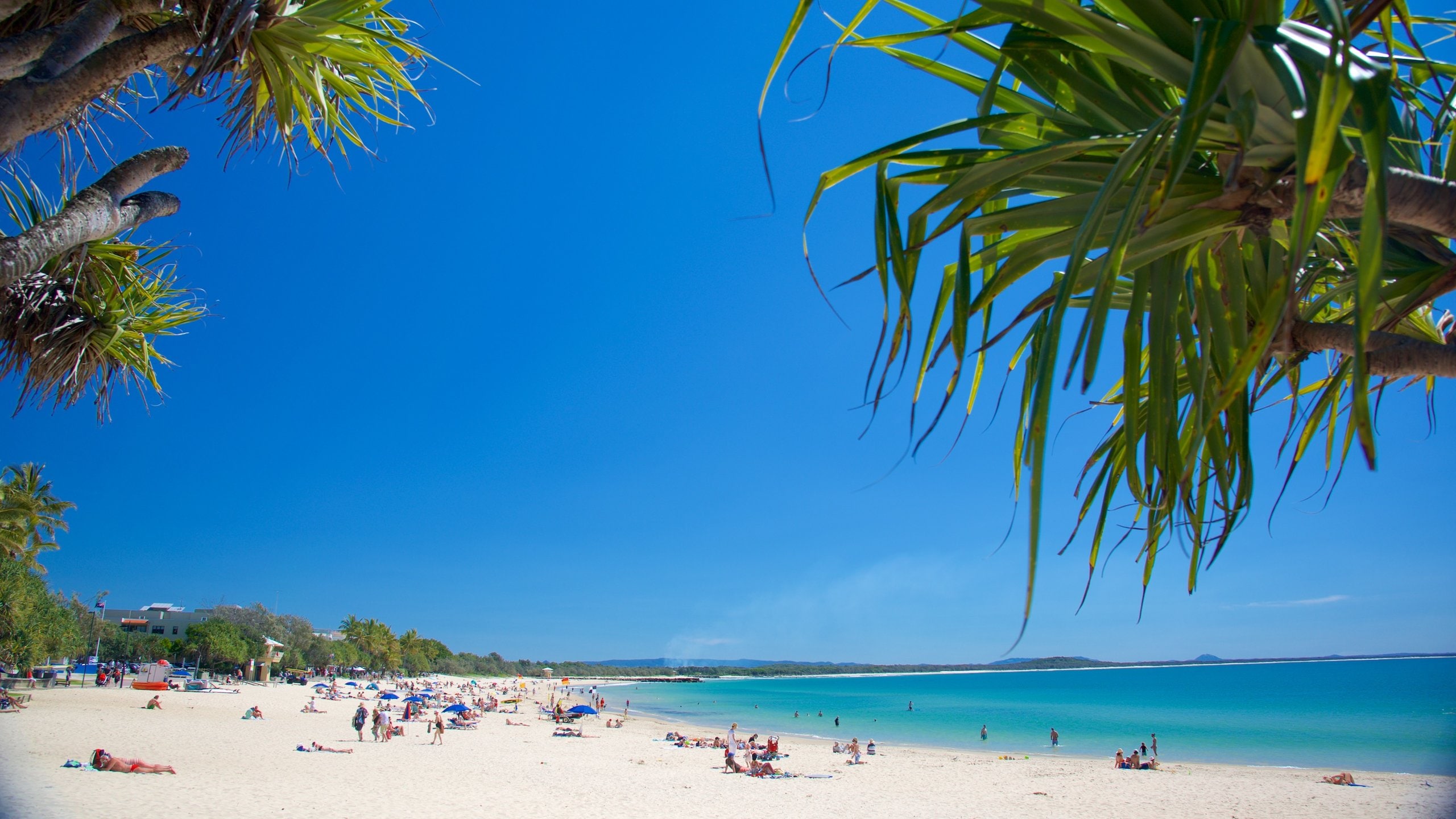 Noosa Beach showing a sandy beach and general coastal views