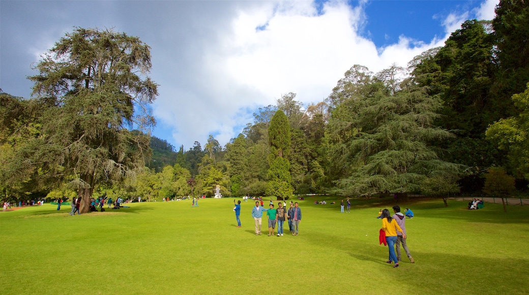 Botanical Gardens which includes a park