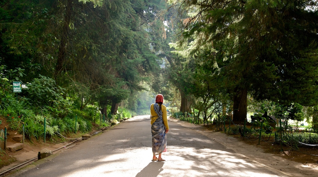 Botanical Gardens welches beinhaltet Garten sowie einzelne Frau