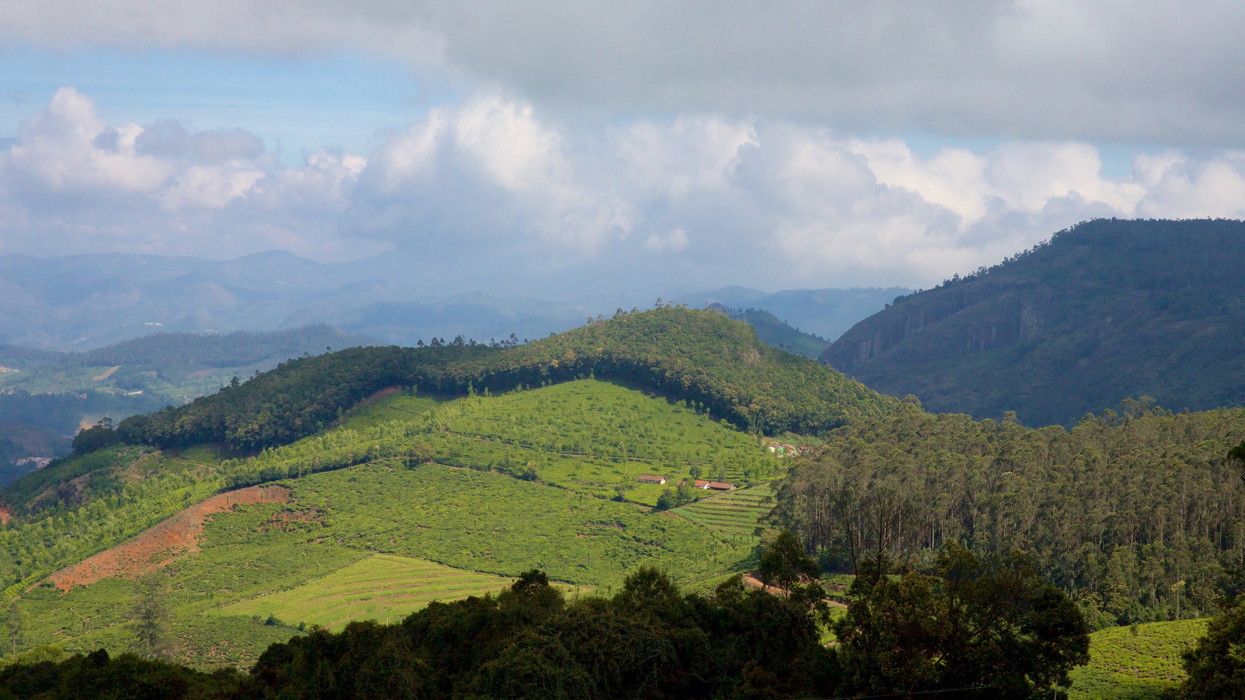 Doddabetta Peak In Ooty Expedia co in Doddabetta Peak In Ooty Expedia co in