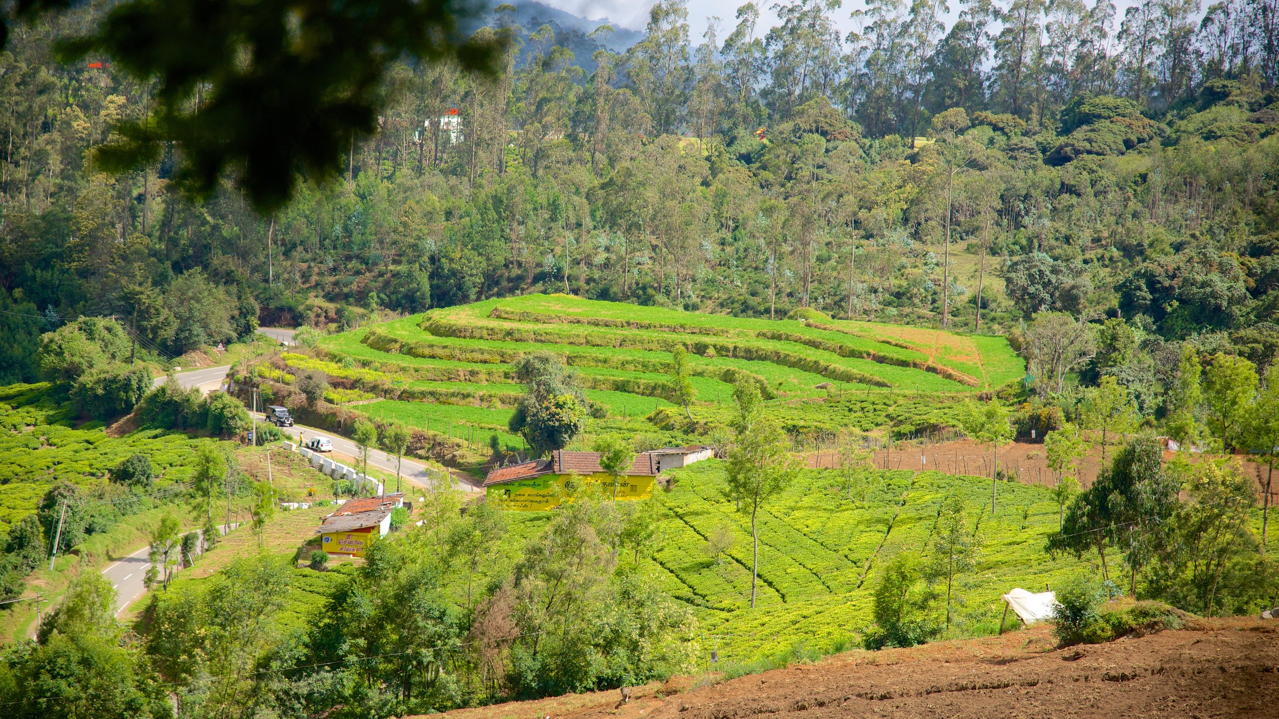 Doddabetta Peak Ooty Attraction Expedia au Doddabetta Peak Ooty Attraction Expedia au