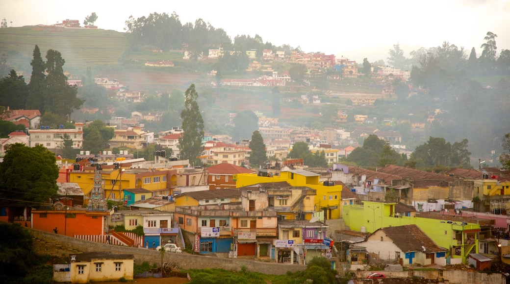 Ooty featuring a city