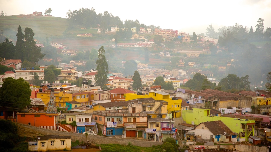 Ooty featuring a city