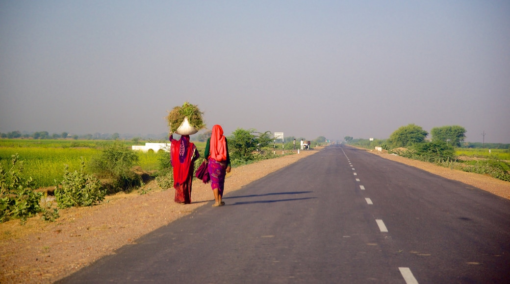 Rajasthan inclusief akkerland en vredige uitzichten