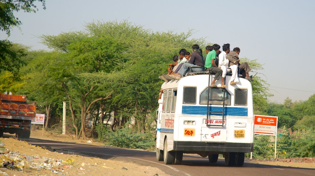 Rajasthan featuring vehicle touring as well as a small group of people