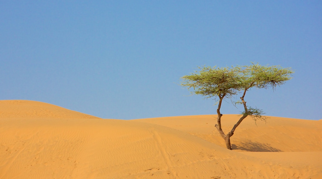 Rajastán mostrando vista al desierto