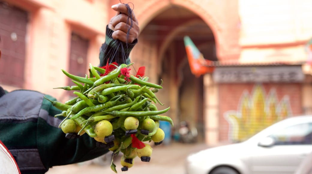 Jodhpur mit einem Speisen