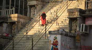 Udaipur