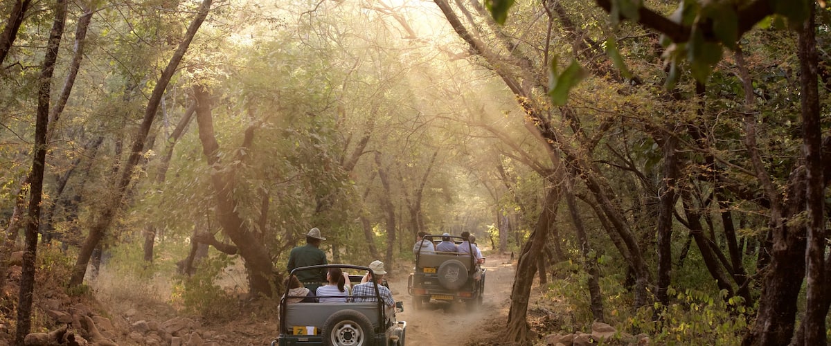 Ranthambore National Park showing 4-wheel driving