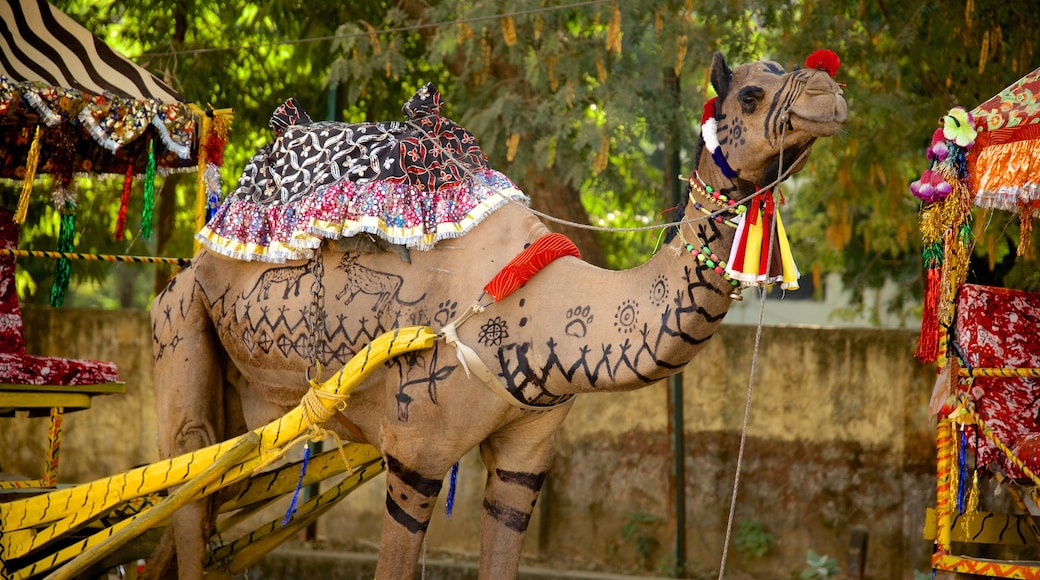 Sawai Madhopur featuring land animals