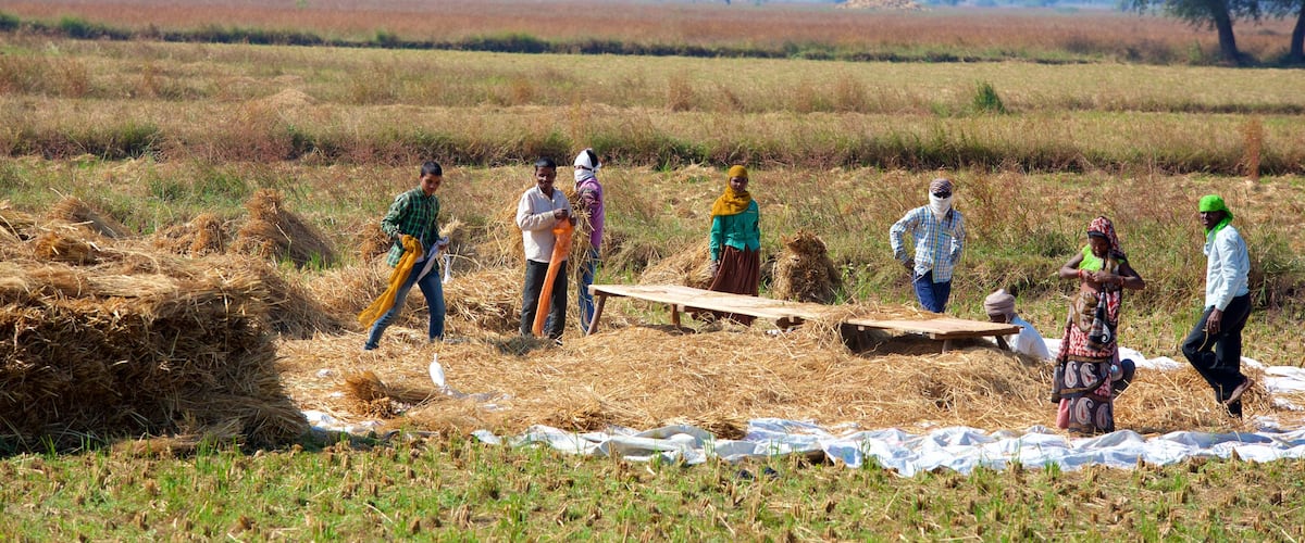 Lothal featuring farmland and tranquil scenes as well as a small group of people