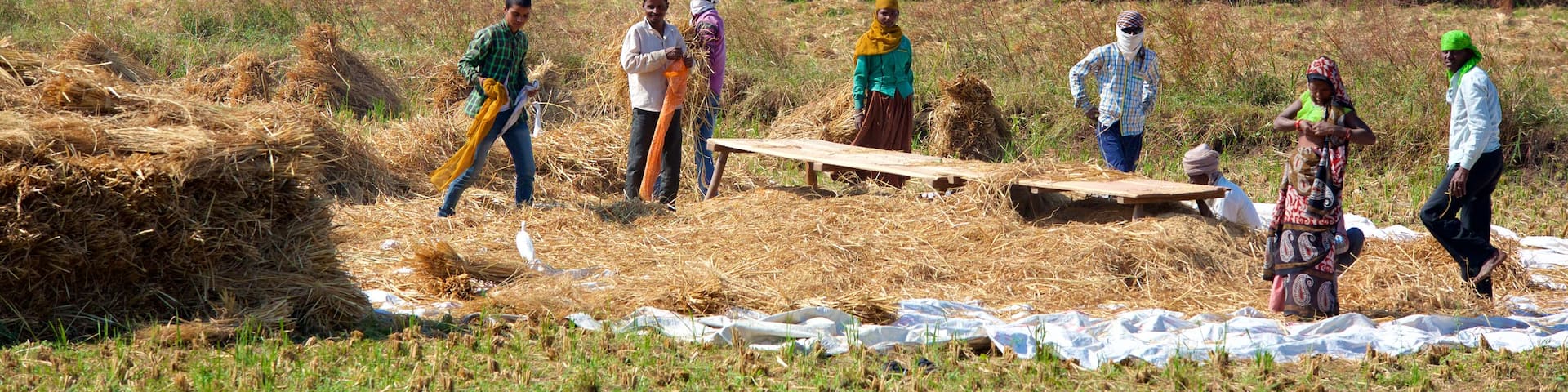 Lothal featuring farmland and tranquil scenes as well as a small group of people