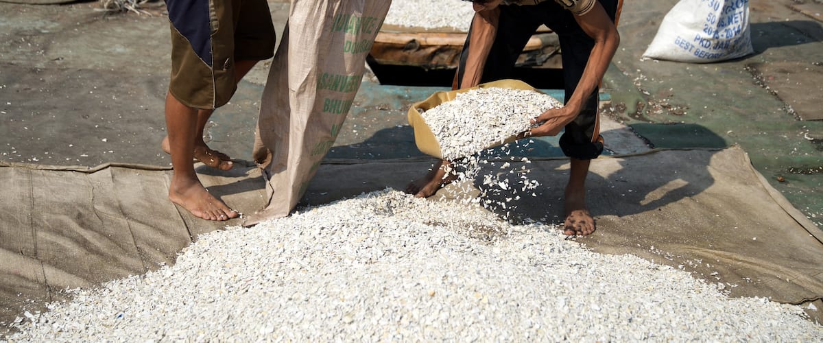 Dharavi mostrando comida