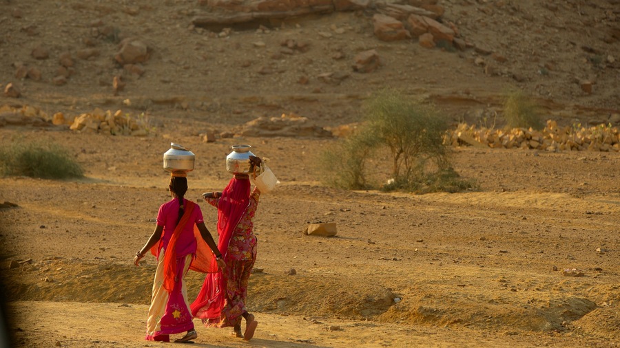 Parque Nacional de Ranthambore mostrando vistas al desierto y también un pequeño grupo de personas