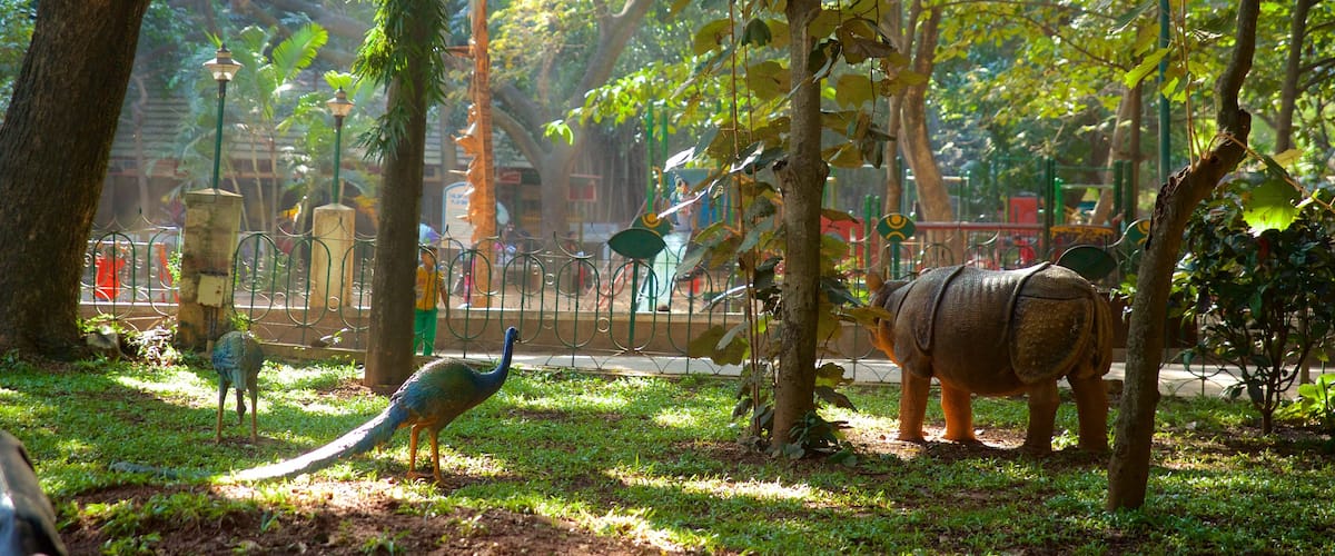 Cubbon Park featuring a park