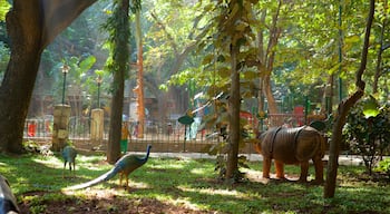 Cubbon Park showing a garden