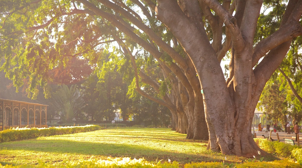 Lalbagh Botanical Gardens which includes a park