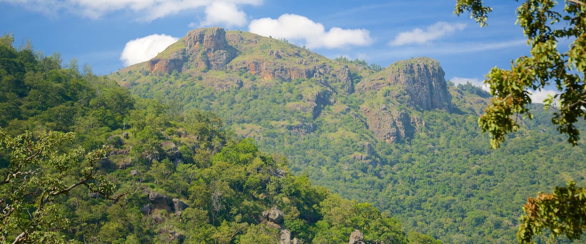 Ooty showing forest scenes