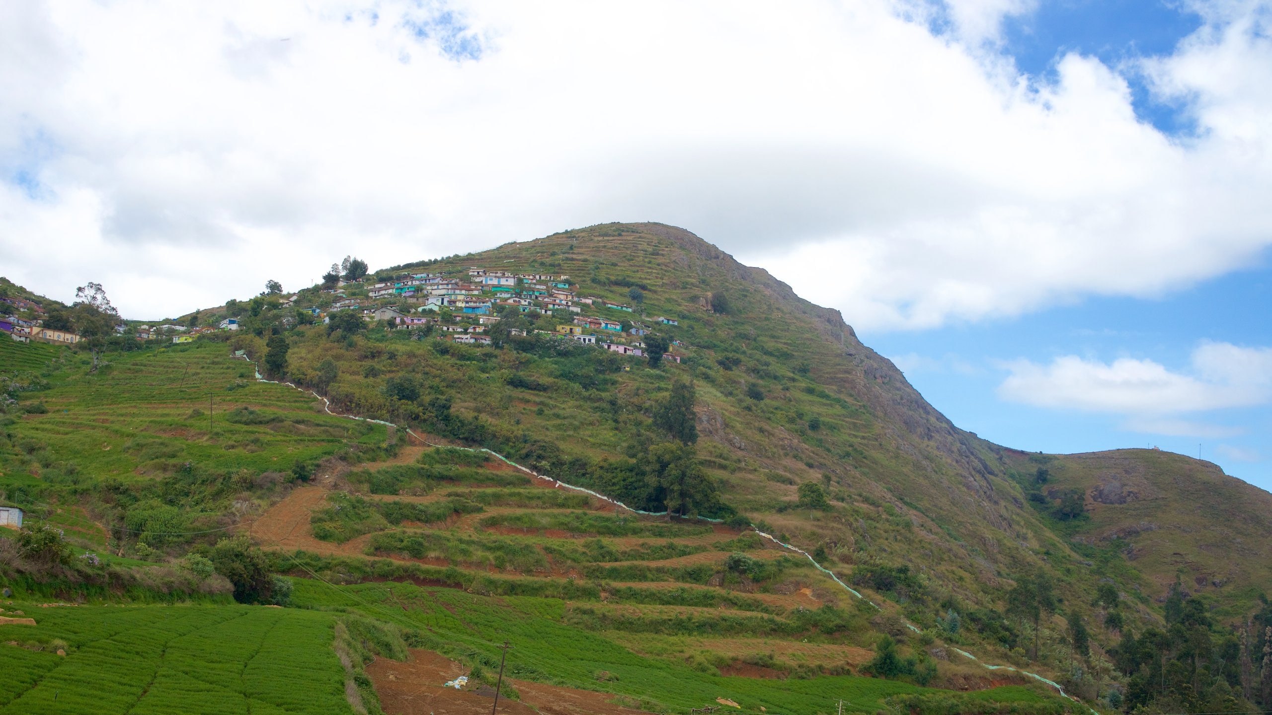 Ooty featuring tranquil scenes, a small town or village and farmland