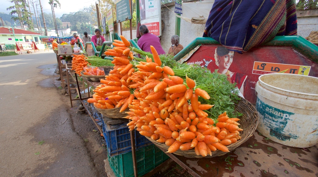 Ooty welches beinhaltet Märkte