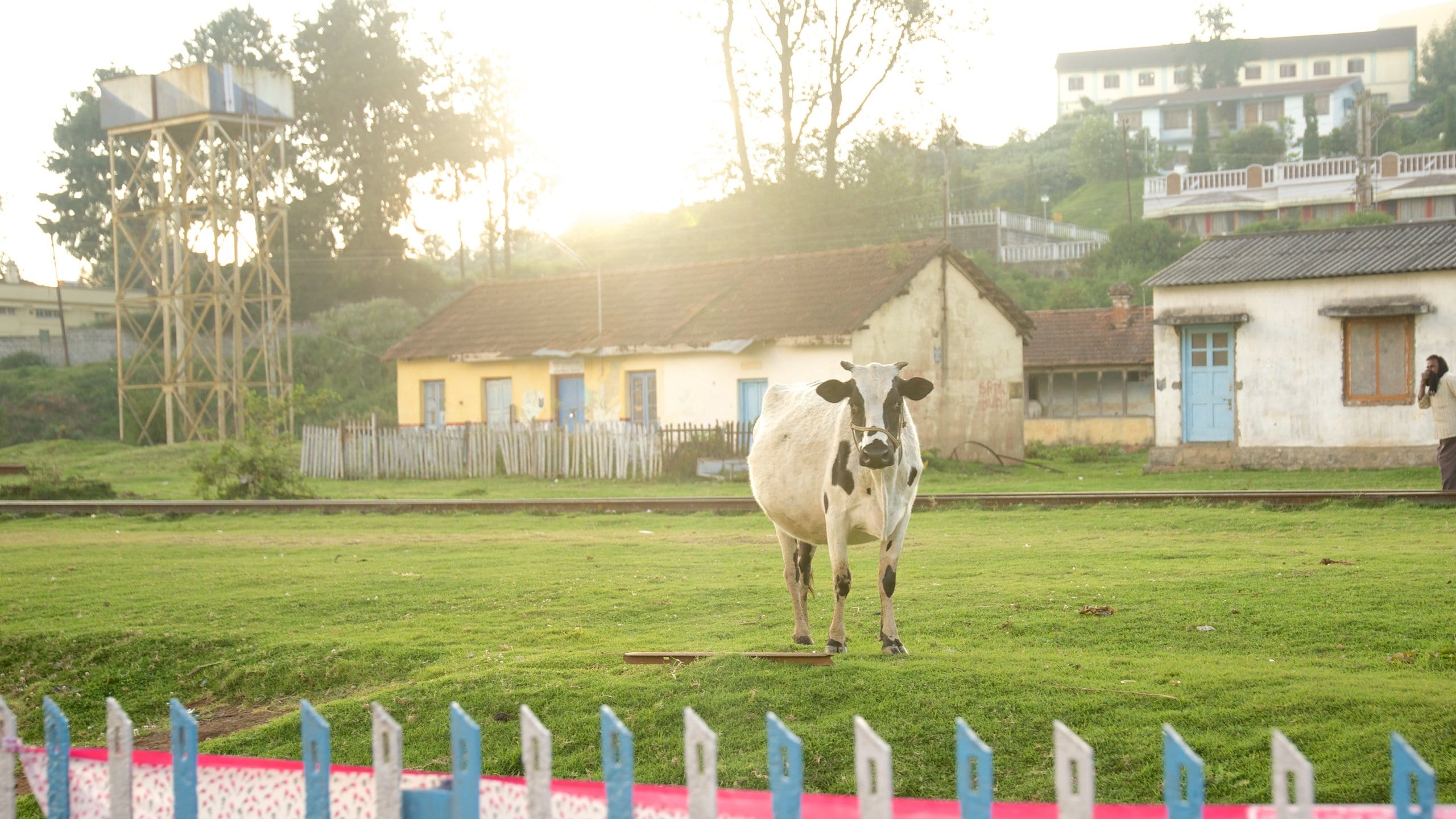 Visit Ooty: Best of Ooty, Tamil Nadu Travel 2023 | Expedia Tourism Visit Ooty: Best of Ooty, Tamil Nadu Travel 2023 | Expedia Tourism