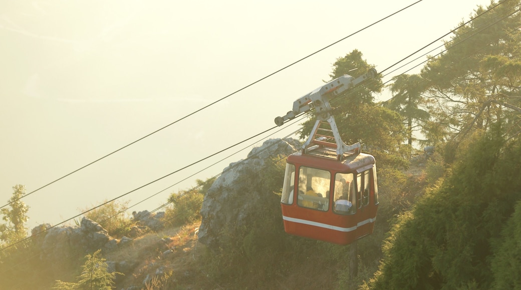 崗山 呈现出 纜車