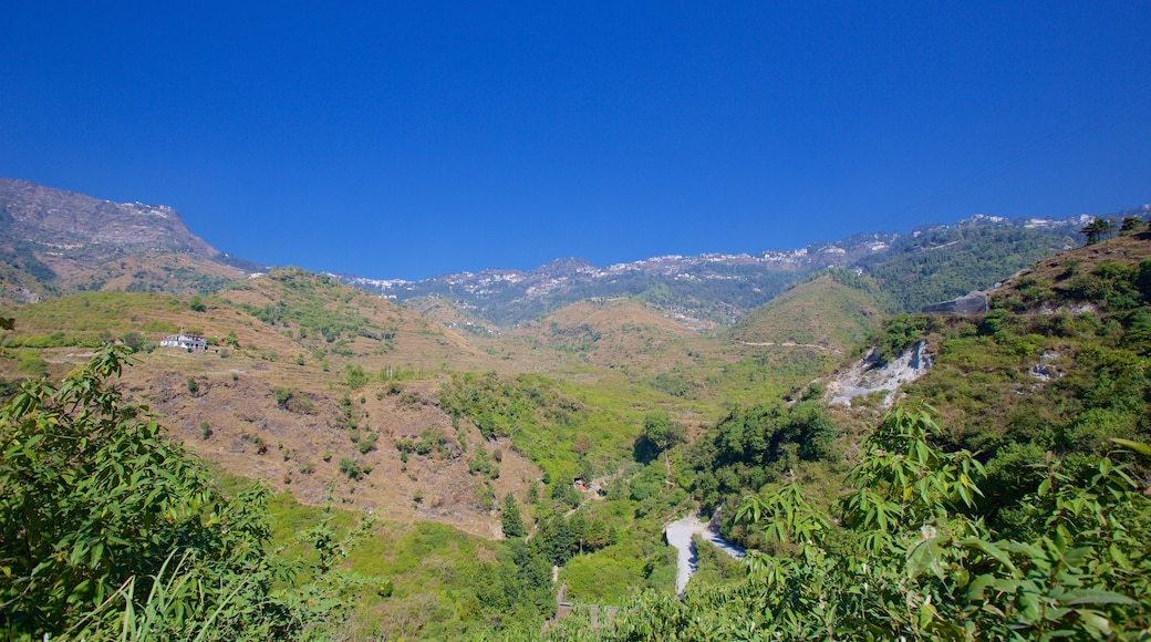 Mussoorie showing rainforest and tranquil scenes