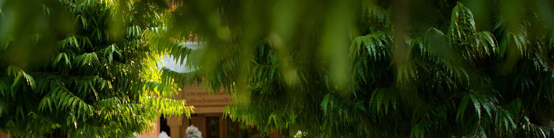 Parmarth Niketan as well as an individual male