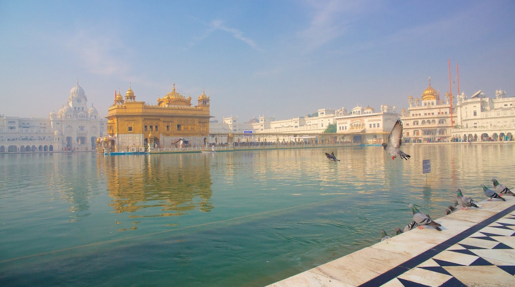 Goldener Tempel das einen Vögel, See oder Wasserstelle und historische Architektur