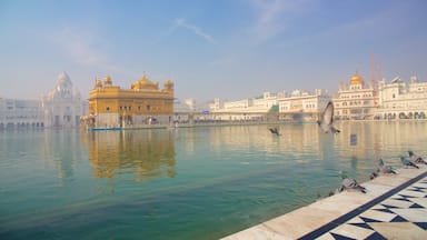 Goldener Tempel das einen Vögel, See oder Wasserstelle und historische Architektur