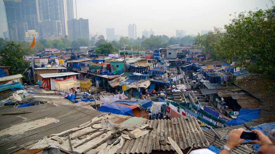 Dhobi Ghat featuring a city