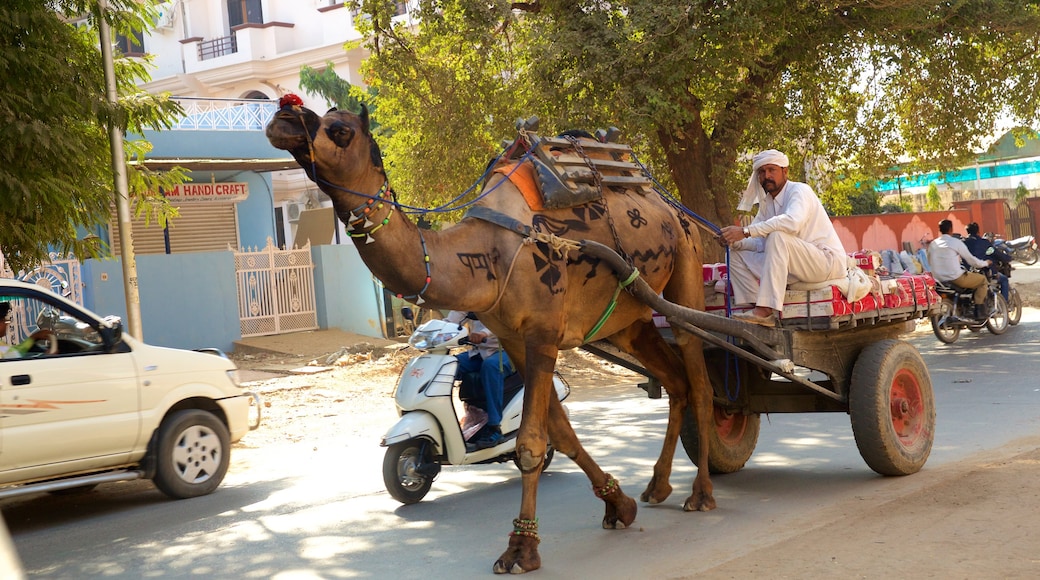 Sawäi Mädhopur ofreciendo animales terrestres y también un hombre
