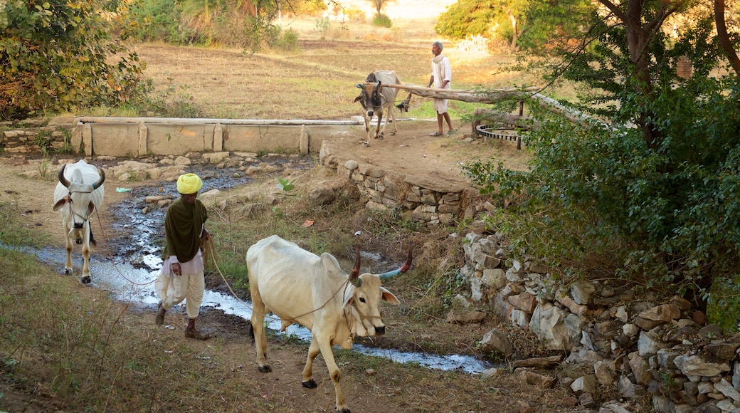 Udaipur