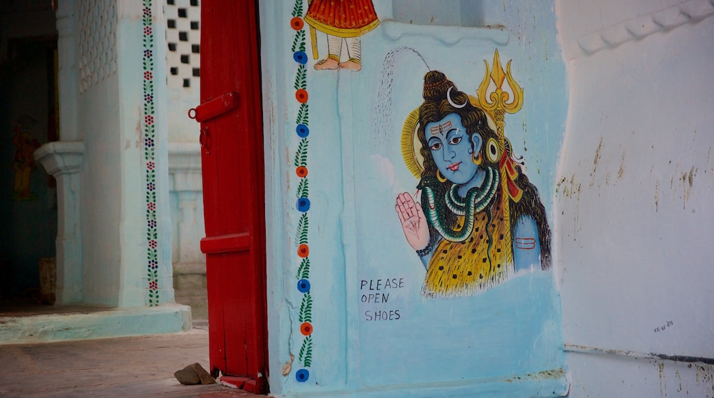 Udaipur featuring outdoor art and art