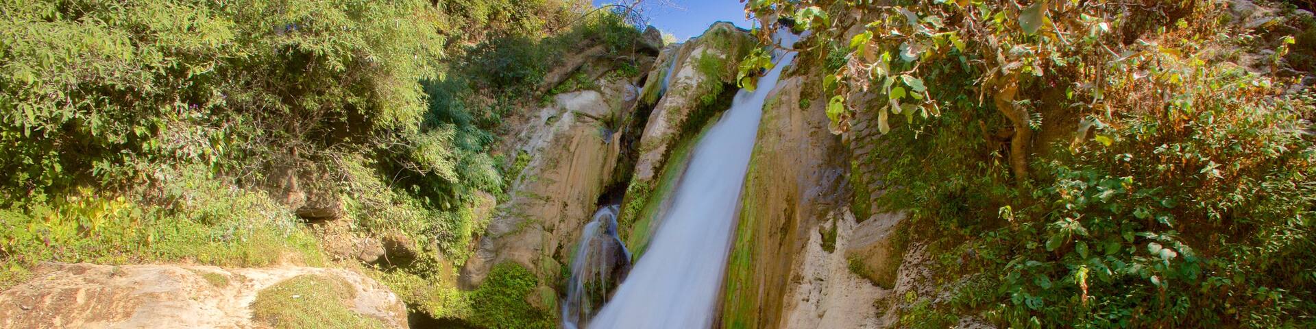 Bhata Falls showing a cascade and tranquil scenes