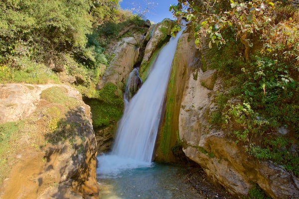 Bhata Falls which includes tranquil scenes and a cascade