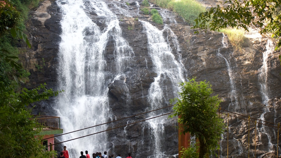 Madikeri ofreciendo una cascada