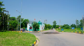 Panchkula featuring forest scenes