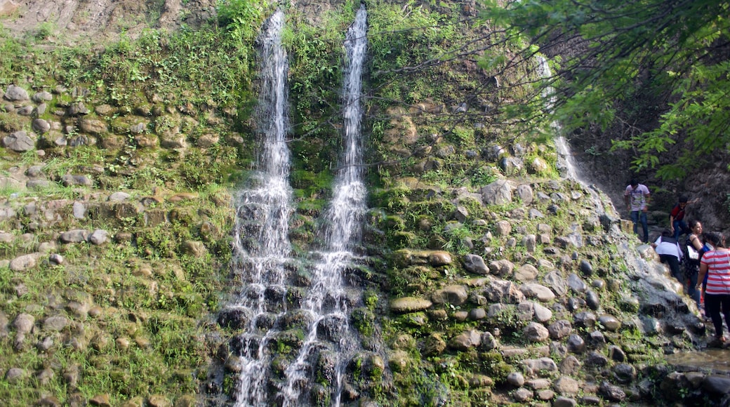 Jardín de Rocas mostrando una cascada y un parque