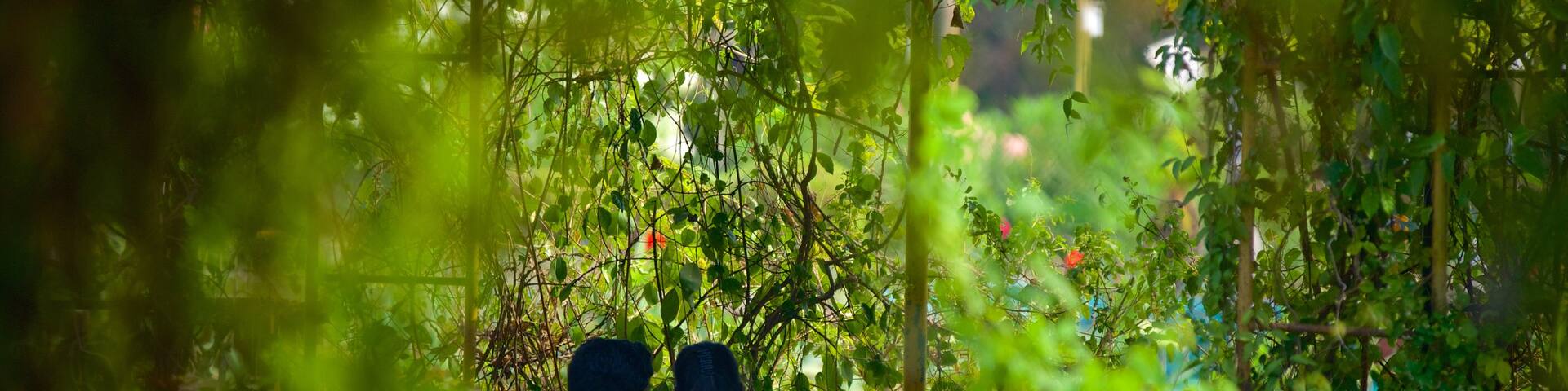 Hanging Gardens featuring a park